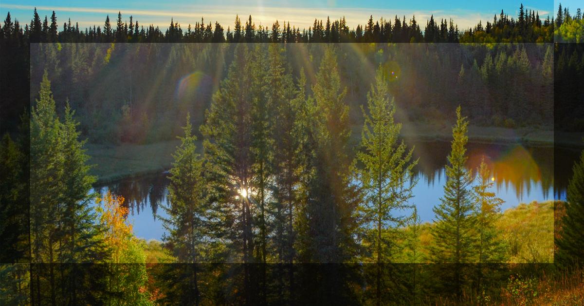 Meadow Lake Provincial Park