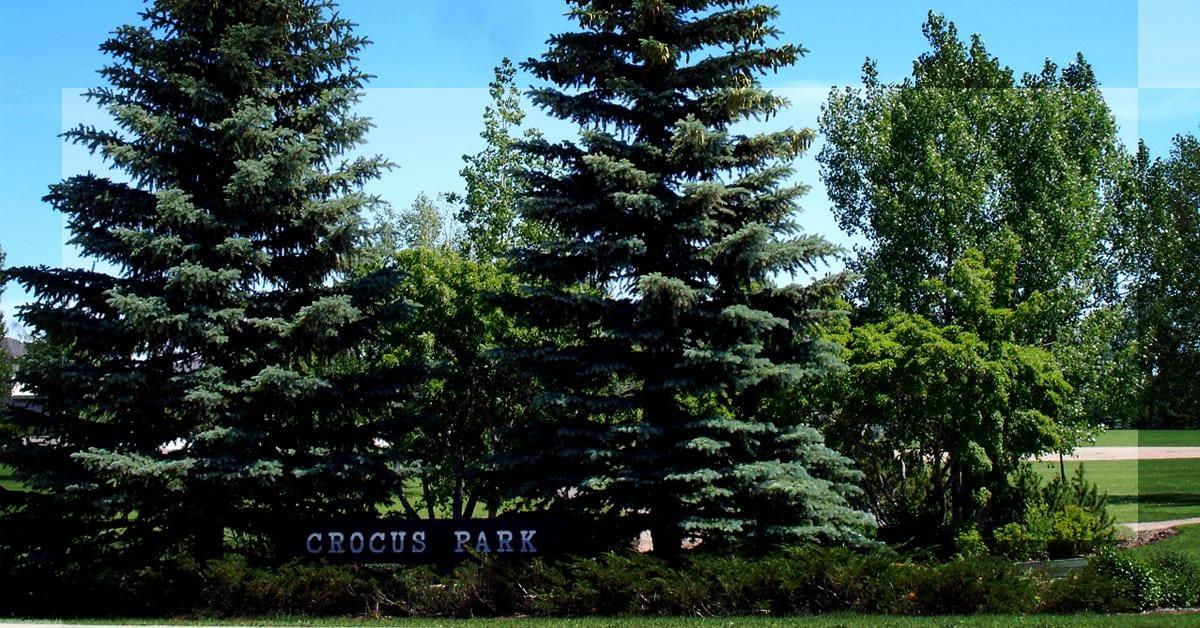 Lakeridge